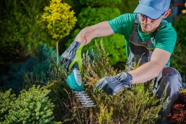 landscaping services Mount Sinai